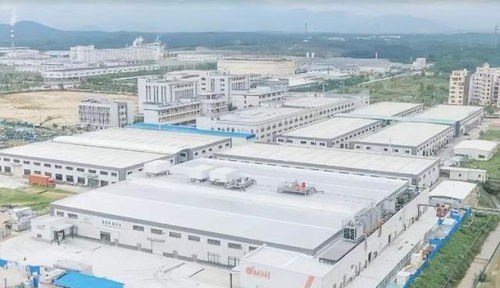中國崛起為全球植物基食品重要市場，Omni新葷主義引領安心純素餐飲服務新潮流