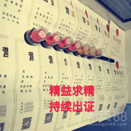 深圳餐飲服務 融合、創新與城市脈搏