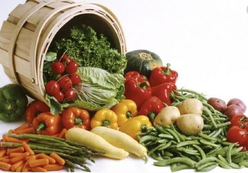 上海寶山至天津專業冷鏈配送服務指南，助力餐飲企業高效運營